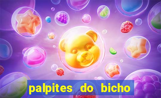 palpites do bicho no celular